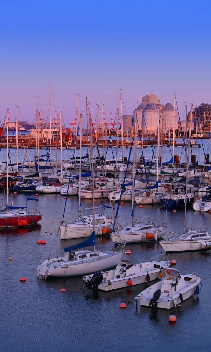 ⚓ 요코하마 베이사이드 마리나 이미지 5